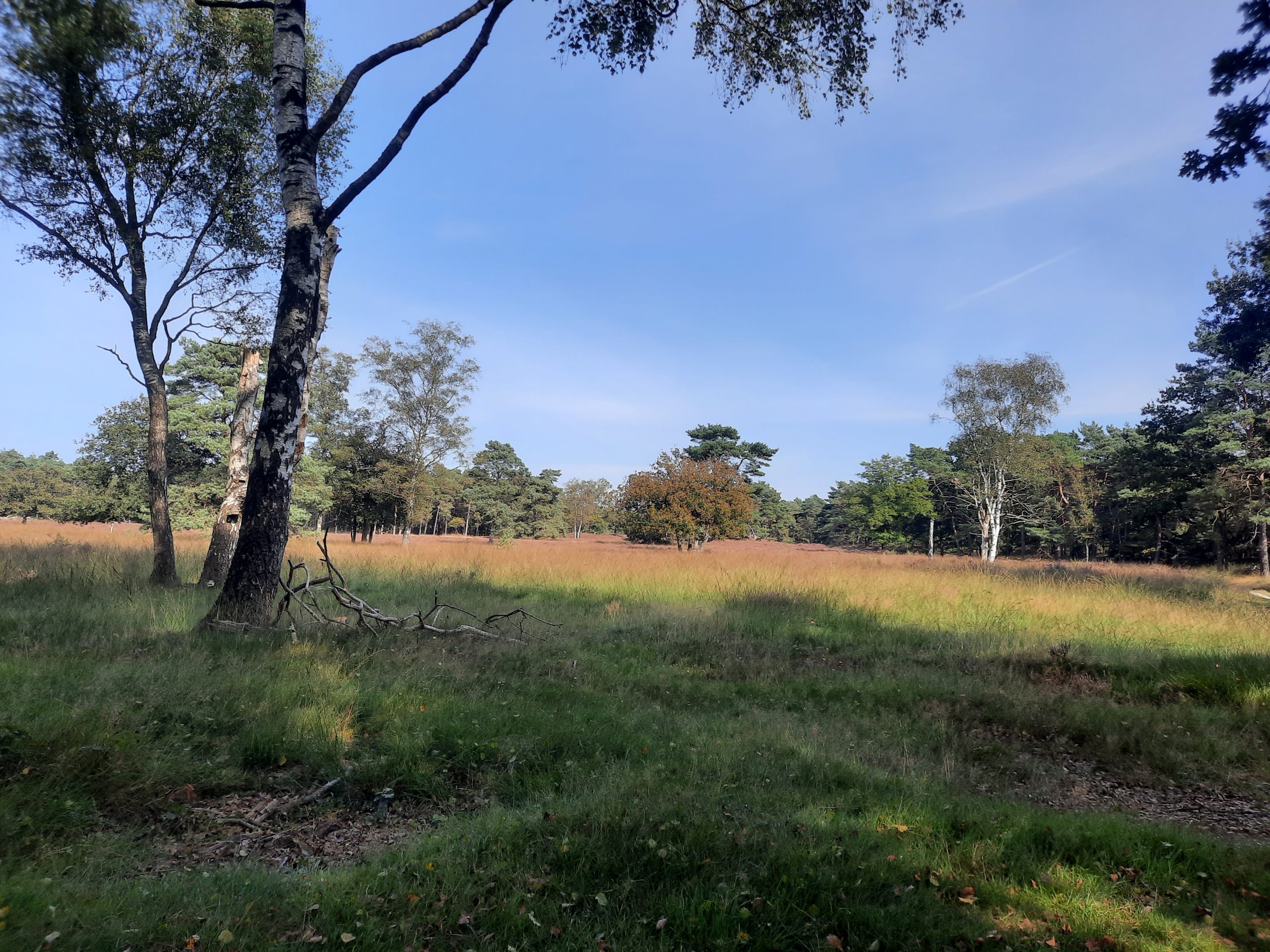 Ik kies voor verbinding