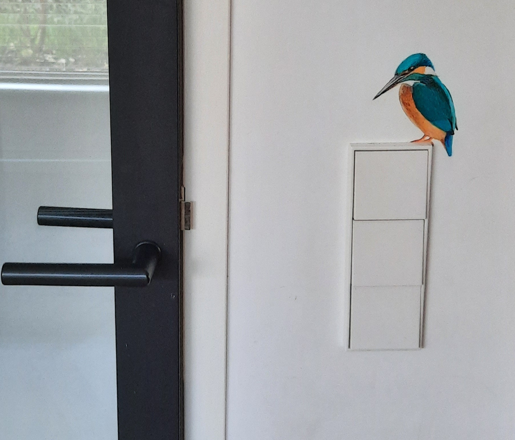 ijsvogel naast deur REJ Stroet