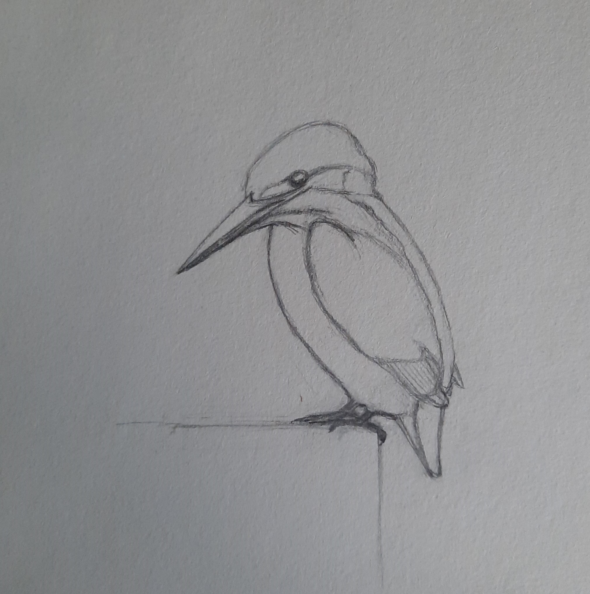 ijsvogel schets 2