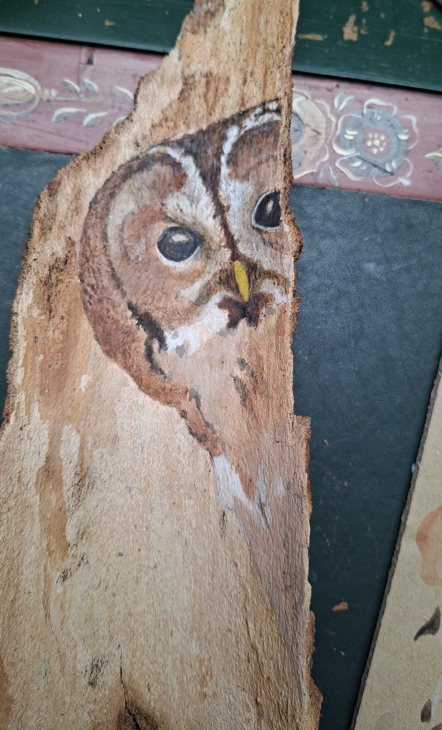 Tawny owl in the house